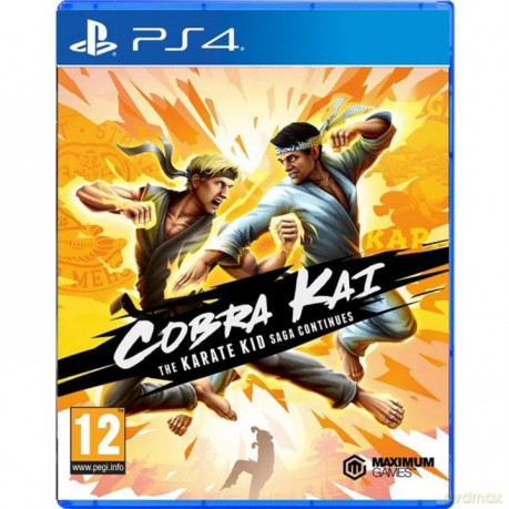Cobra Kai: The Karate Kid Saga Continues [GRA PS4]