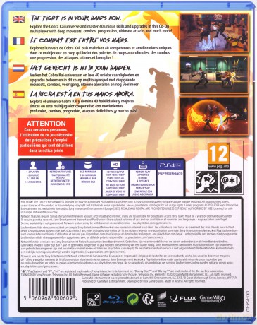Cobra Kai: The Karate Kid Saga Continues [GRA PS4]