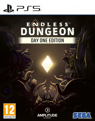 Endless Dungeon (Day One Edition) [GRA PS5]
