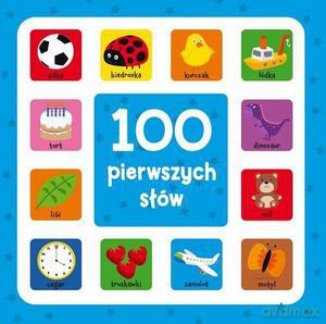100 pierwszych słów [KSIĄŻKA]