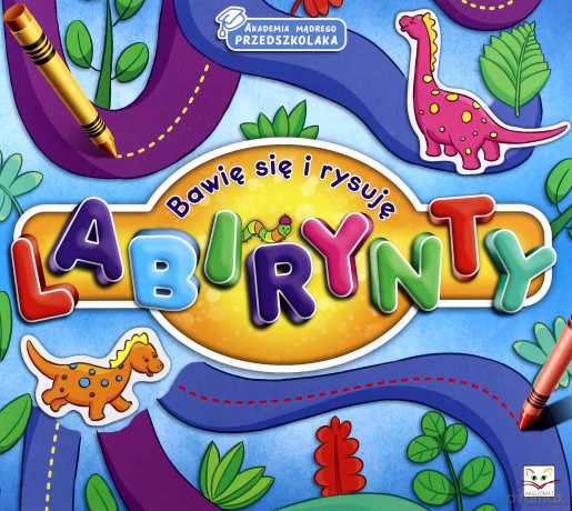 Akademia mądrego przedszkolaka. Bawię się i rysuję labirynty [KSIĄŻKA]