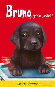 Bruno Gdzie Jesteś - Agnieszka Stelmaszyk [KSIĄŻKA]