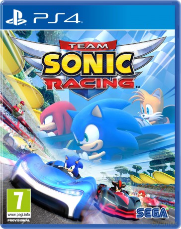 Team Sonic Racing [GRA PS4]