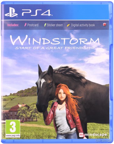 Windstorm: Start of a Great Friendship [GRA PS4]