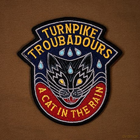 Turnpike Troubadours: A Cat In The Rain [Winyl]