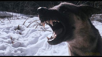 Challenge to White Fang (Powrót Białego Kła) [Blu-Ray]