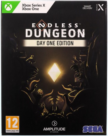 Endless Dungeon (Day One Edition) [GRA XBOX SERIES X]