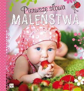 Pierwsze słowa maleństwa [KSIĄŻKA]