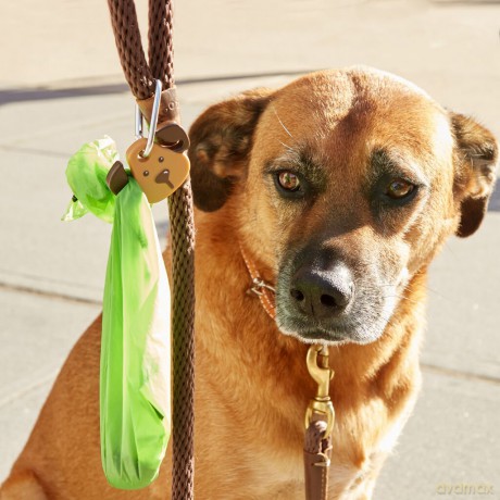 Dog Light (DIG29-EU)