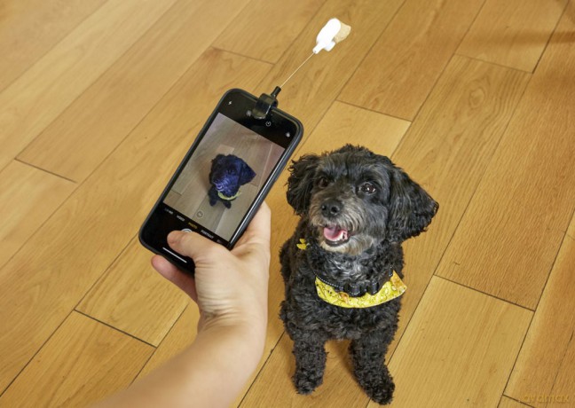 Dog Treat Selfie Clip (DIG01)