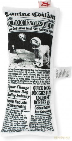 Gazeta zabawka dla psa Doggy Fake News Toy (DIG05)