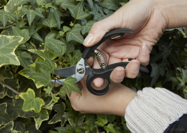 Garden Shears (CD526)