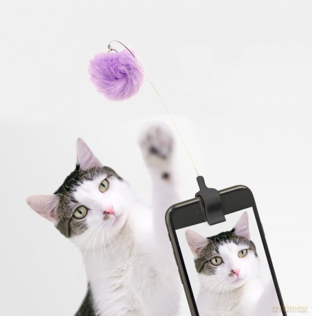 Kitty Phone Clip (US188-A) Assorted