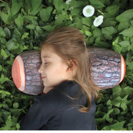 Log Pillow