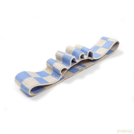 Pen Loop Blue