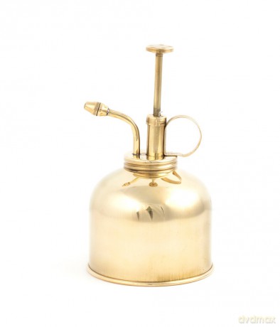 Plant Mister Brass (CD508)
