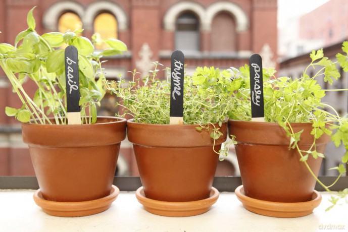 Reusable Garden Markers (GA06)