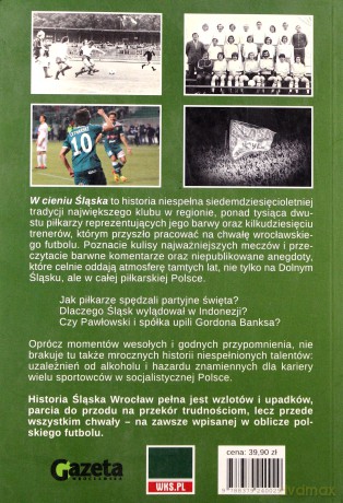 W cieniu Śląska - Wyrwa Michał [KSIĄŻKA]