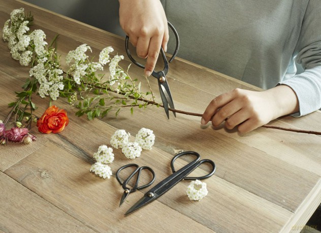 Scissor Set For Garden (SC37)