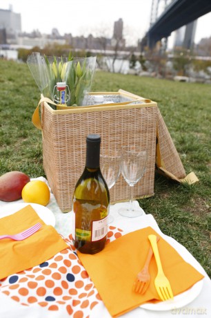 Wicker Picnic Cooler Seat (CD139)
