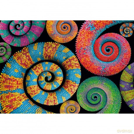 CLEMENTONI 500 el. Compact colorboom Curly Tails 35529 [PUZZLE]