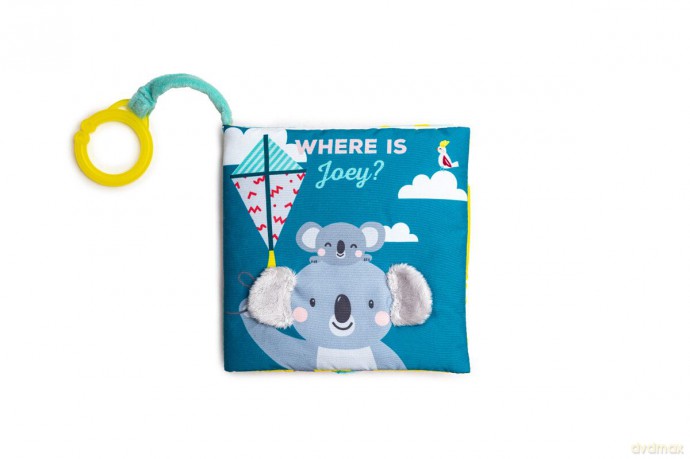 TAF - Where is Joey book (259-12595)