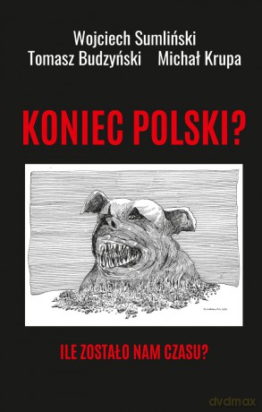 Koniec Polski? Ile zostało nam czasu? - Wojciech Sumliński [KSIĄŻKA]