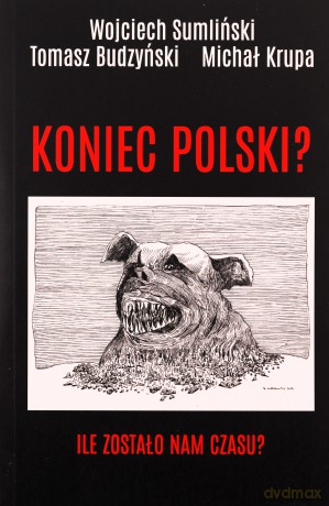 Koniec Polski? Ile zostało nam czasu? - Wojciech Sumliński [KSIĄŻKA]