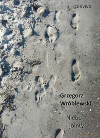Niebo i jointy - Grzegorz Wróblewski [KSIĄŻKA]