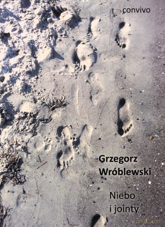 Niebo i jointy - Grzegorz Wróblewski [KSIĄŻKA]