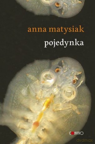 Pojedynka - Anna Matysiak [KSIĄŻKA]