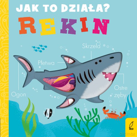 Rekin. Jak to działa - Molly Littleboy [KSIĄŻKA]