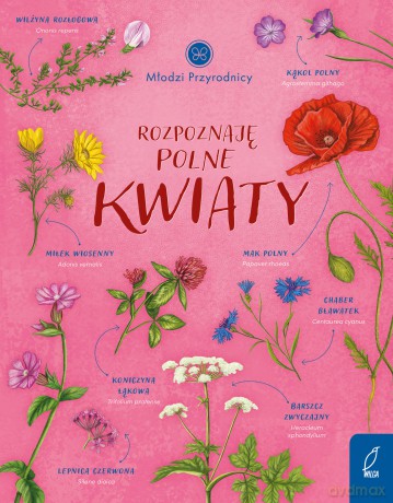 Rozpoznaję polne kwiaty. Młodzi przyrodnicy - Patrycja Zarawska [KSIĄŻKA]