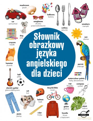 Słownik obrazkowy języka angielskiego dla dzieci [KSIĄŻKA]