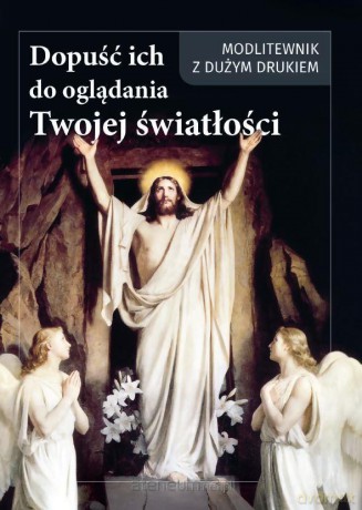 Dopuść ich do oglądania Twojej światłości - Andrzej Ochman [KSIĄŻKA]