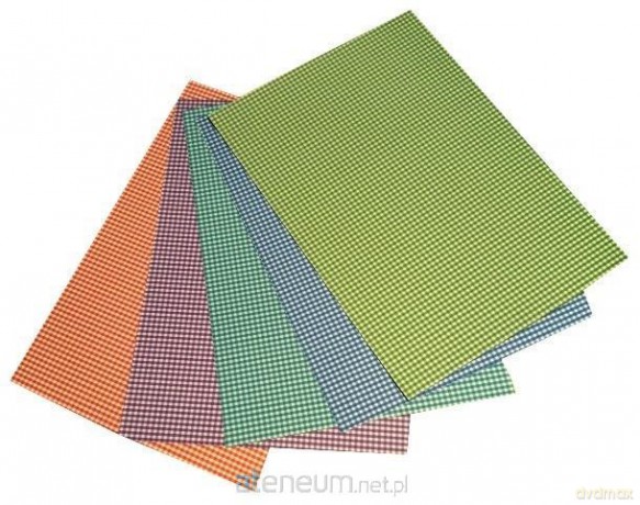 Karton obustronny kratka 300g 24x34cm 5 ark MIX