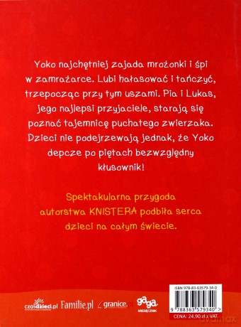 Kim Jest Yoko - Knister [KSIĄŻKA]