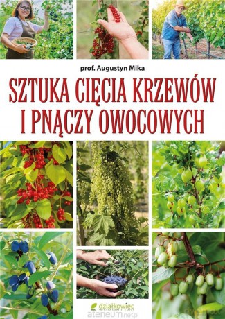 Sztuka cięcia krzewów i pnączy owocowych - Augustyn Mika [KSIĄŻKA]