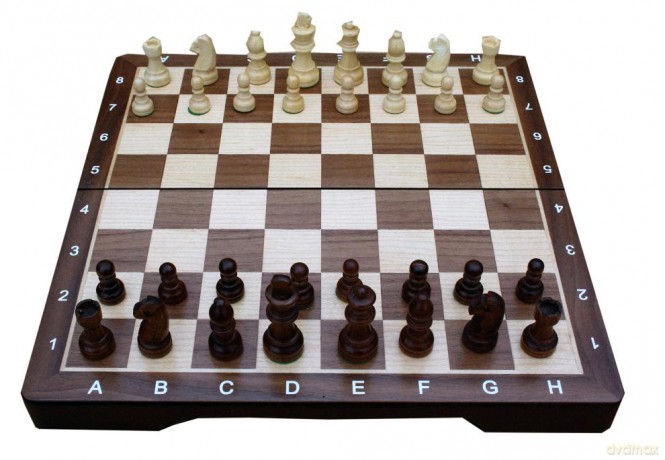 Chess Set - Medium (TWE197911)