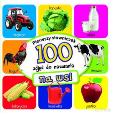 Na Wsi Pierwszy Słowniczek 100 Zdjęć Do Nazwania (TW) [KSIĄŻKA]