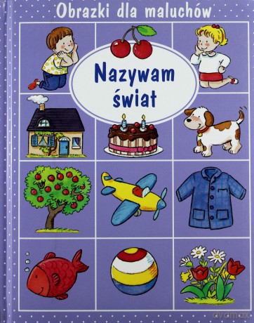 Nazywam Świat Obrazki Dla Maluchów (TW) [KSIĄŻKA]