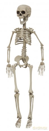 Joker - Halloween - Skeleton 76 cm (90091)