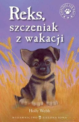 Reks Szczeniak Z Wakacji - Holly Webb [KSIĄŻKA]