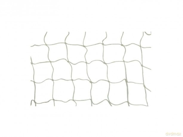Outsiders - Roulette Extra Net 300 x 160cm Goal