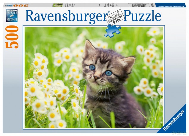 RAVENSBURGER Kitten In The Meadow 500p - (10217378) [PUZZLE]