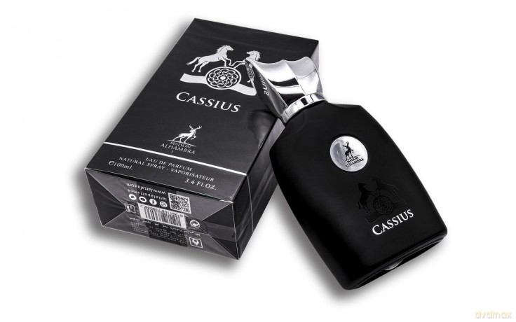 Alhambra Cassius - woda perfumowana - Volume: 100 ml
