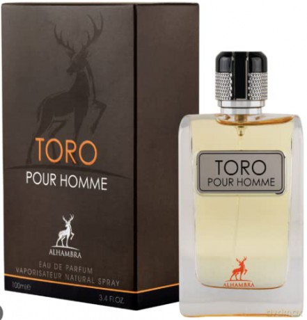 Alhambra Toro Pour Homme - woda perfumowana - Volume: 100 ml