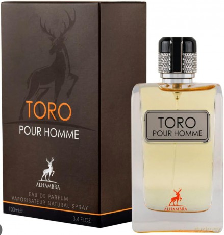 Alhambra Toro Pour Homme - woda perfumowana - Volume: 100 ml