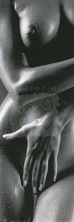 Akt (Sylvie Blum) [PLAKAT]