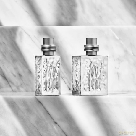 Cerruti 1881 Silver - woda perfumowana - Volume: 100 ml
